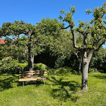 Auszeit Am Focker Strom Waase