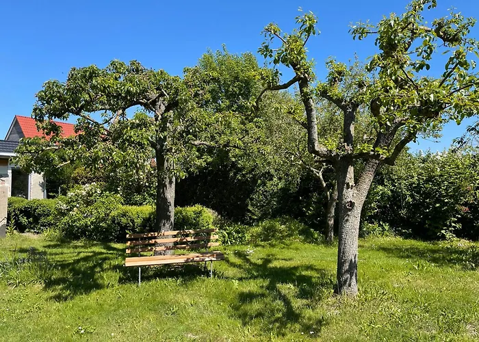 Auszeit Am Focker Strom Waase
